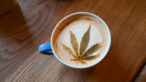 cbd cream