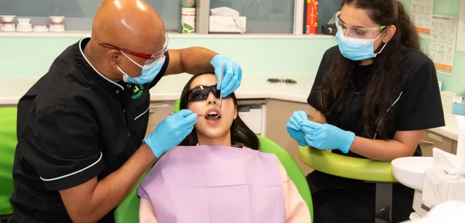 How Dental Embryology Reveals the Blueprint for Lifelong Oral Health